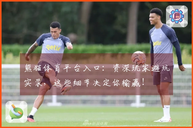 熊猫体育平台入口：资深玩家避坑实录，这些细节决定你输赢！